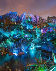 an image of a night scene with lights in the trees and plants on the ground