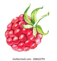 a watercolor drawing of a raspberry