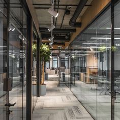 an empty office with glass walls and plants