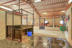 the inside of a horse barn with horses in stalls and buckets on the floor