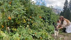 a woman holding a cat in her arms while standing next to a bush with oranges growing on it