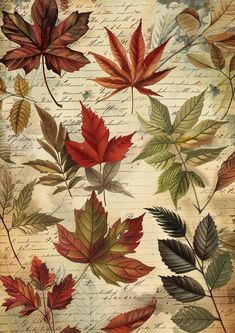 an image of autumn leaves on a piece of paper