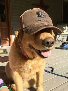 a dog wearing a hat sitting on the ground