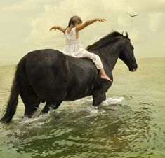 a woman riding on the back of a black horse in water next to a bird