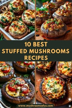 the top 10 best stuffed mushrooms recipes