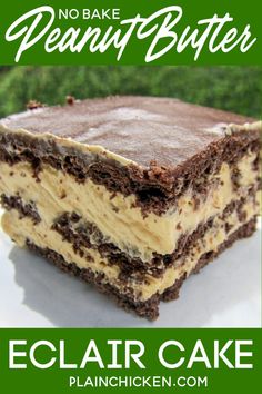 a close up of a piece of cake on a plate with grass in the background