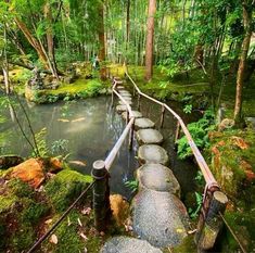 stepping stones lead down to a pond in the woods