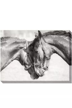 black and white photograph of two horses touching heads