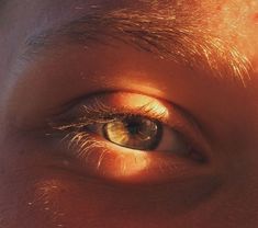 a man's eye with the sun shining through it