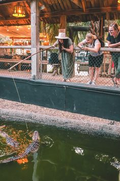 people are looking at an alligator in the water while others look on from behind a fence