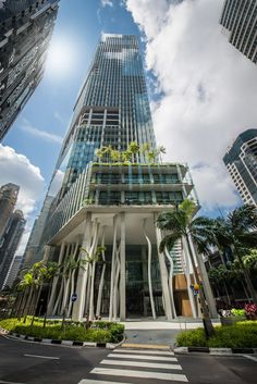 an office building with palm trees in the foreground