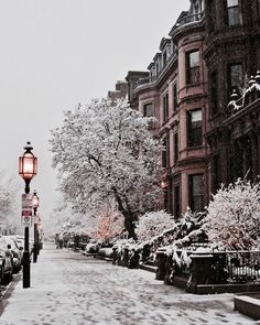 a snowy street lined with parked cars next to tall buildings