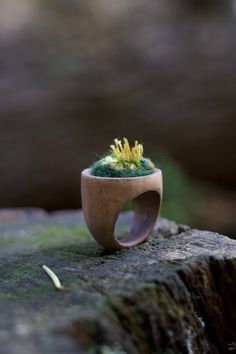 Hand crafted wooden ring with embroidery, wool and beads.  Absolutely one of a kind piece of jewelry that will attract all attention. Comes only in one size. It's recommended to take off the ring when you wash your hands.  Diameter 19mm Height 3cm width 2.5cm Moss Embroidery, Moss Jewelry, Magic Jewelry, Forest Magic, Cnc Ideas, Fairy Forest, Wooden Ring, Forest Fairy, Wash Your Hands