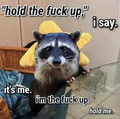 a raccoon with a funny hat on it's head sitting in front of a glass table