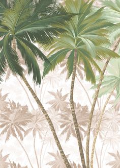 two palm trees in front of a wallpapered background