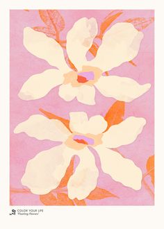 an image of flowers on a pink background