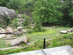 a zoo exhibit with trees and rocks in the foreground, grass on the ground