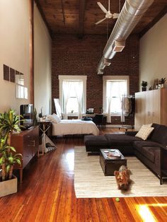 a living room filled with furniture and a dog sitting on top of a wooden floor