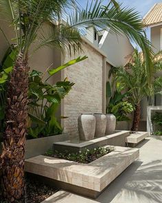 a concrete bench sitting next to a palm tree