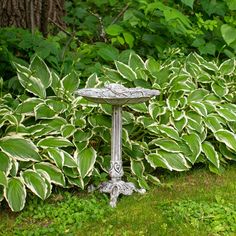 a bird bath sitting in the middle of a garden with green grass and bushes behind it