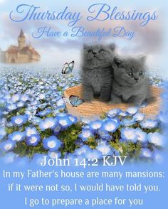 two kittens are sitting in a basket with blue flowers