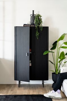 a black cabinet sitting next to a potted plant