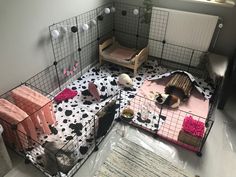 two small cages with animals in them and one has a pink blanket on the floor