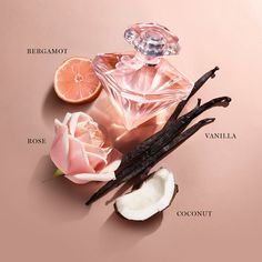 Perfume Guide, Lilin Aroma, Coconut And Vanilla, Vanilla Perfume, Perfume Scents, Perfume Lover