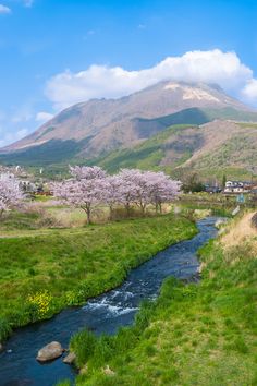 a small stream running through a lush green field next to a tall mountain covered in pink flowers