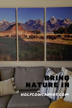 three canvases hang on the wall above a couch in front of a mountain scene