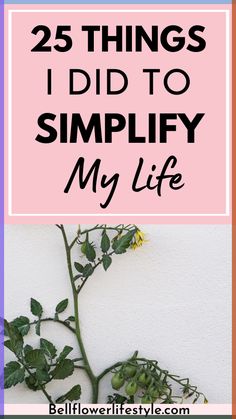 Feeling your life has gotten cluttered and complicated? Here are 25 ways to simplify your life and live your life to the best How To Live Simply, How To Simplify Your Life, Minimalist Habits, Live A Simple Life, Live With Less, Living With Less, Simple Living Lifestyle, Living Simple, Farm House Livingroom