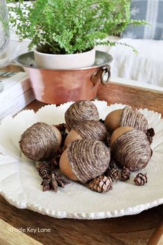 some very pretty looking shells on a plate with plants in the backgrouf