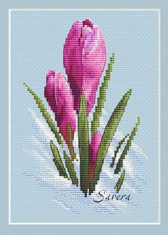 three pink tulips in the snow on a blue background cross stitch pattern with green border