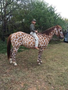 a man riding on the back of a brown and white giraffe next to trees