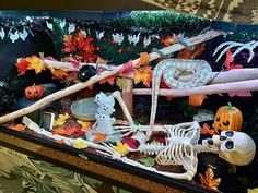 a display case filled with fake skeletons and pumpkins