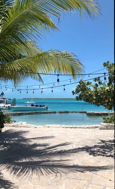 the beach is lined with palm trees and boats on the water in the distance,