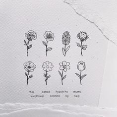 the flowers are drawn on paper and placed next to each other