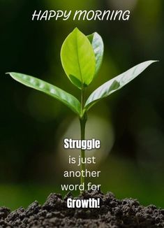 a green plant growing out of dirt with the words, happy morning struggle is just another word for growth