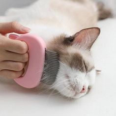 a cat is being groomed with a pink brush