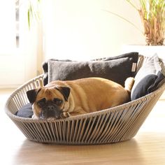 Dog basket SIRO Twist with latex cushion. Modern Cat Bed, Dog Bed Modern, Dog Milk, Memory Foam Dog Bed, Dog Beds For Small Dogs, Modern Pet, Orthopedic Dog Bed