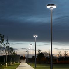 the walkway is lined with street lights on both sides and grass in front of it