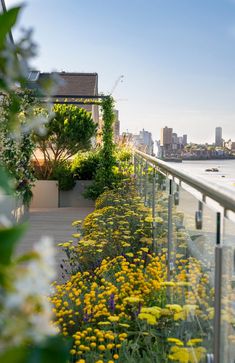 a balcony with lots of flowers and plants on the railings next to the water