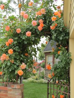 an orange rose is growing on the side of a house in front of a gate