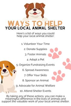 an animal shelter poster with the words ways to help your local animal shelter and how to keep them safe