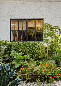 a garden with plants and flowers in front of a window on the side of a building