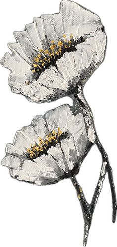 two white flowers with yellow stamens are shown in this drawing by artist and photographer mark