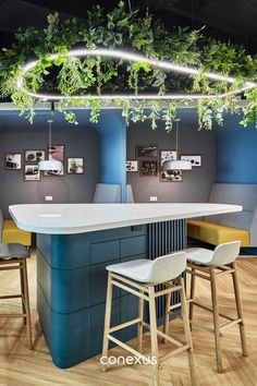 an office with plants hanging from the ceiling and bar stools in front of it