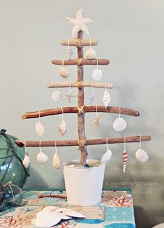 a small christmas tree made out of seashells on a table next to a potted plant