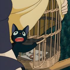 a black cat in a cage looking at something