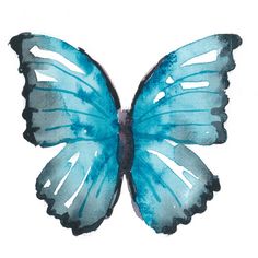 a watercolor painting of a blue butterfly